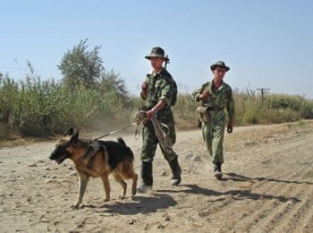 塔吉克斯坦与阿富汗边境共发生22起武装冲突