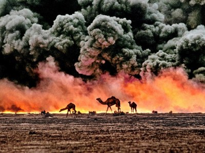 Ahmadi Oil Fields, Kuwait, 1991, KUWAIT-10001 Camel and Oil Fields Sandwiched between blackened sand and sky, camels search for untainted shrubs and water in the burning oil fields of southern Kuwait. Their desperate foraging reflects the environmental plight of a region ravaged by the gulf war. Canby, Thomas Y. (August 1991) "The first Gulf War taught us a new lesson in unconventional conflict. Saddam Hussain's army filled the skies of southern Kuwait with black poignant smoke from the burning oil lines. It was a powerful, debilitating symbol. And there was another. McCurry, who was covering the war, saw camels running in terror from the fires. Both images -whether of the fires or of the animals- were powerful representations of the chaos of that time. Central to McCurry's reputation as a journalist is his discipline to wait, and to search, and then to recognize the most telling image. The juxtaposition of the fire and smoke and camels running amok creates an icon of that war." - Phaidon 55 National Geographic, Vol. 180, No. 2, pgs. 2-3, August 1991, The Persian Gulf: After the Storm Phaidon, 55, Iconic Images, final book_iconic, final print_milan, iconic photographs As his army retreated from Kuwait, Saddam Hussein ordered the ignition of the oil fields that scatter the country. The effect was an ecological disaster of unimaginable scale. These camels are running from the fires. It is a futile effort: soon they will covered in oil that rains down from the sky. Steve Mccurry_Book Iconic_Book Untold_book final print_Sao Paulo final print_MACRO retouched_Sonny Fabbri MAX PRINT SIZE: 40X60
