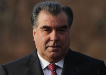Президент подписал ряд законов
