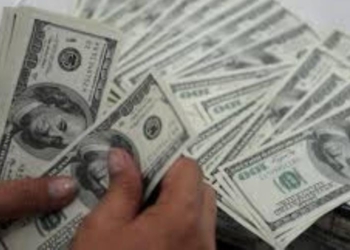 Курс Сомони по отношению к Доллару с начала года упал на 10,7%