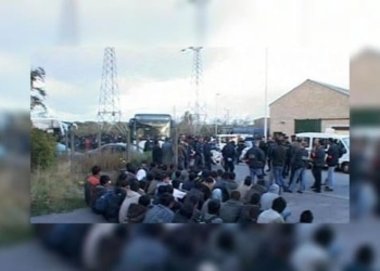 Граждане Таджикистана и Узбекистана устроили массовую драку под Санкт-Петербургом