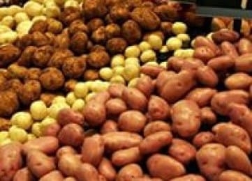 Российские поставщики «кинули» таджикских дехкан