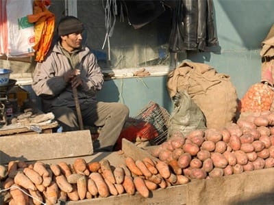 Реальный рост ВВП Таджикистана составил 6,6%