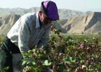 USAID завершил реализацию проекта по земельной реформе в Таджикистане