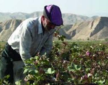 USAID завершил реализацию проекта по земельной реформе в Таджикистане