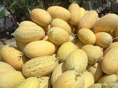 В Худжанде прошел праздник дыни и меда