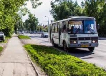 В Новосибирске мигрантам запретили водить автобусы и учить детей