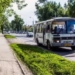В Новосибирске мигрантам запретили водить автобусы и учить детей