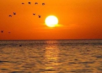 Сотрудничество на Каспийском море: принципы, цели, приоритеты