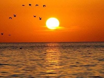 Сотрудничество на Каспийском море: принципы, цели, приоритеты