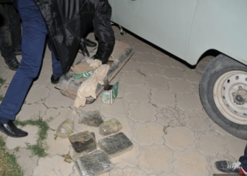 Гражданин Таджикистана задержан в Кыргызстане с крупной партией наркотиков