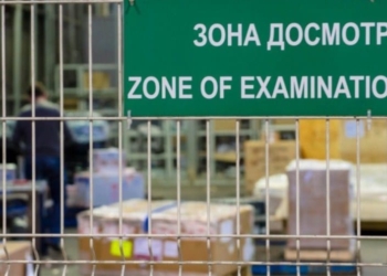 Киргизские таможенники пресекли контрабанду шкур животных из Таджикистана