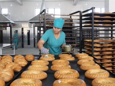 В Таджикистане собрали около 70% хлопка, — Минсельхоз
