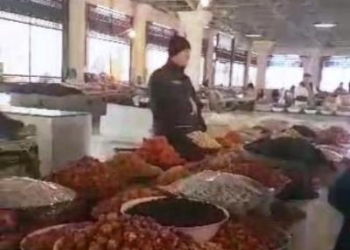На севере Таджикистана возвели свыше 1,4 тыс. га новых садов и виноградников
