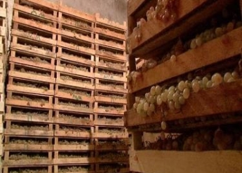 Глава отдела образования Б.Гафурова награждена знаком «Отличник образования СНГ»