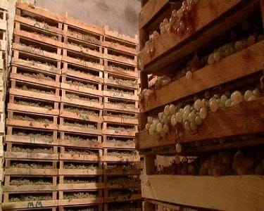 Глава отдела образования Б.Гафурова награждена знаком «Отличник образования СНГ»