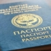 Минсельхоз объявил конечные данные по сбору картофеля в текущем году