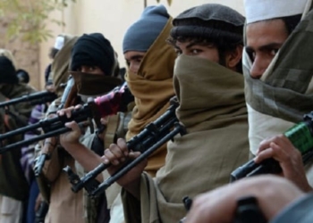 На севере Таджикистана порывистый ветер оборвал линии электропередачи и повалил деревья