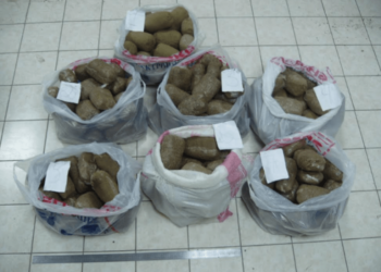 В Душанбе обезврежена наркогруппировка. Изъято свыше 200 кг наркотиков