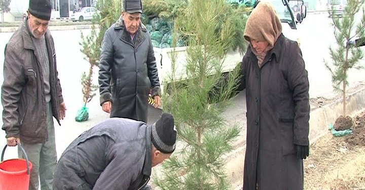 В Б.Гафурове объявили 120 дней благоустройства и озеленения