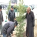 В Б.Гафурове объявили 120 дней благоустройства и озеленения