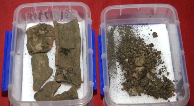 В Китае обнаружена пшеница 2800-летней давности