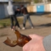 На севере Таджикистана несовершеннолетними совершено 195 преступлений