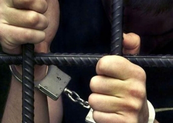  «Квартирант»  осужден на 21 год за попытку убийства хозяйки дома