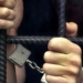 «Квартирант» осужден на 21 год за попытку убийства хозяйки дома