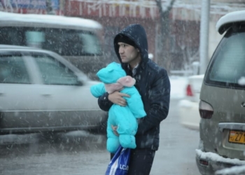 Снег в Душанбе. Фоторепортаж