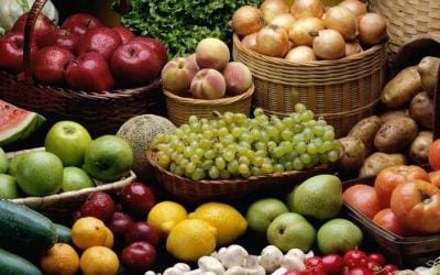 Таджикистан экспортировал около 180 тыс. тонн сельхозпродукции
