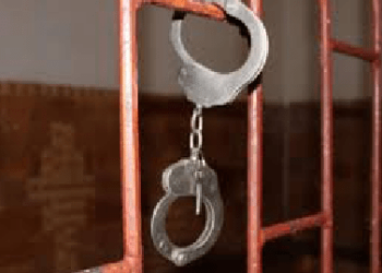 В Душанбе вербовщик ИГ приговорен к 15 годам лишения свободы
