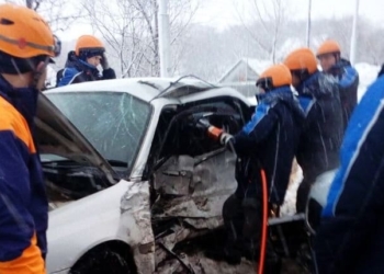 Пять граждан Таджикистана и Узбекистана погибли в ДТП под Саратовом