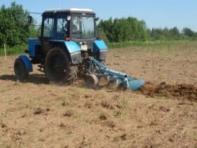 В Мастче сев хлопка планируют произвести на площади11,2 тыс. га