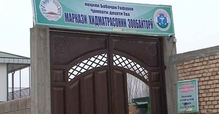 В Б.Гафурове работают 12 ветеринарных центров