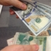  Курс Сомони по отношению к доллару с начала года упал на 0,3%