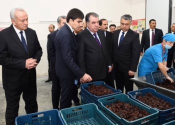 Президент открыл в Исфаре предприятие по переработке фруктов и парк культуры и отдыха
