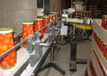 Экономический рост в Таджикистане планируют осуществить за счет интенсификации сельхозпроизводства