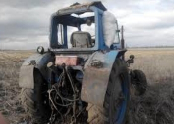 Слабое госфинансирование АПК в Таджикистане затрудняет развитие отрасли, — НСР