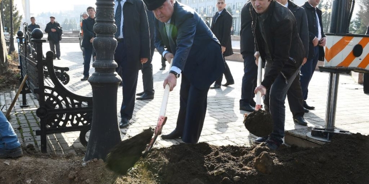 Участие в хашаре по посадке саженцев в городе Душанбе. Фото пресс-службы Президента РТ