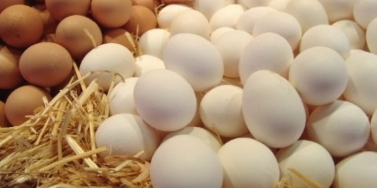 В Таджикистане до конца года должны заработать четыре новых птицеферм