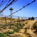 Таджикские пограничники обезвредили восемь афганских контрабандистов