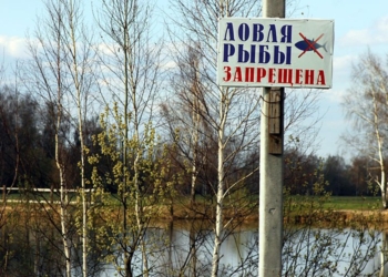 В Согде введен запрет на лов рыбы