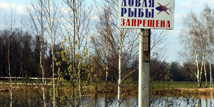В Согде введен запрет на лов рыбы