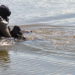 За пять месяцев в реках и водоемах Таджикистана утонули 36 детей