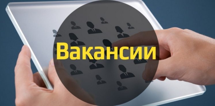 240 свободных рабочих мест предложили безработным в городе Гулистоне