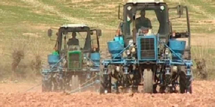 Хлопок в Таджикистане посеяли на площади 174,5 тыс. га
