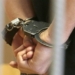 Житель района Рудаки обокрал своего односельчанина