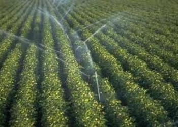 Эмомали Рахмон ознакомился с реализацией проекта по орошению Дангаринской долины