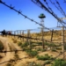 С начала года таджикскими пограничниками ликвидировано 8 контрабандистов